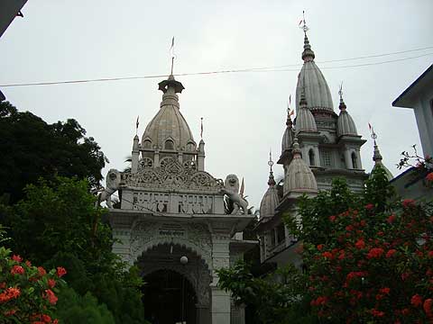 picture-07