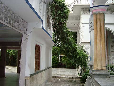 picture-10