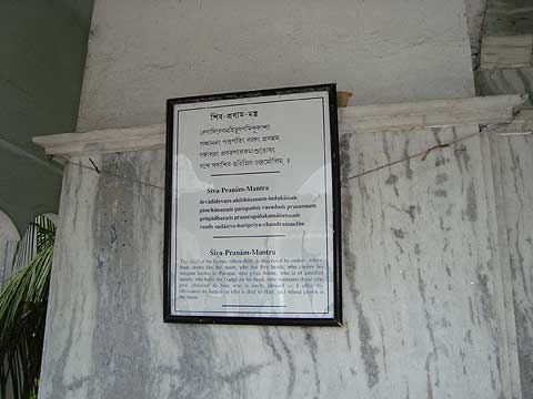 picture-29