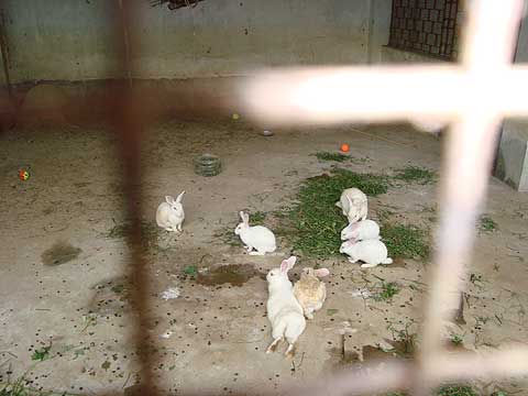 picture-29