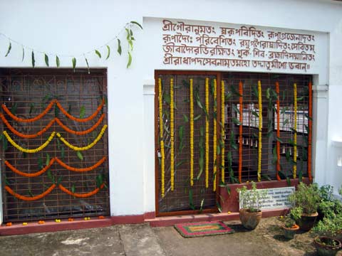 picture-11