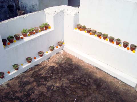 picture-13