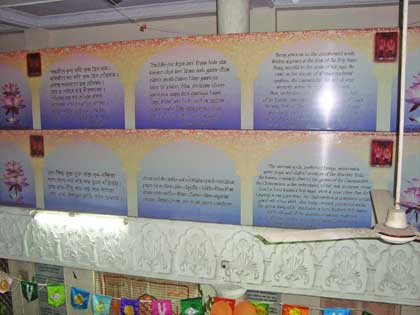 picture-19