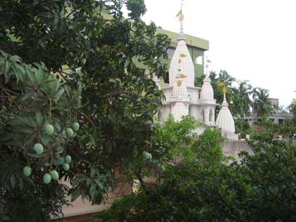picture-6