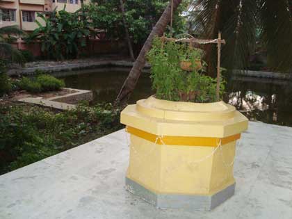picture-7