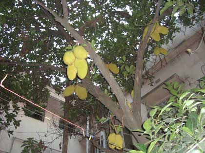 picture-9