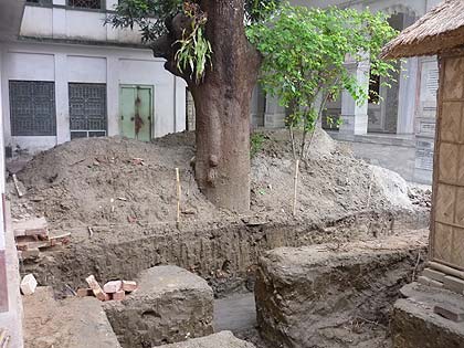 picture-11