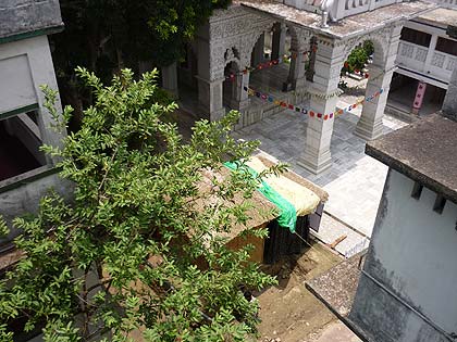 picture-14