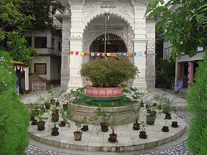 picture-09