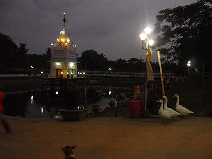 picture-48