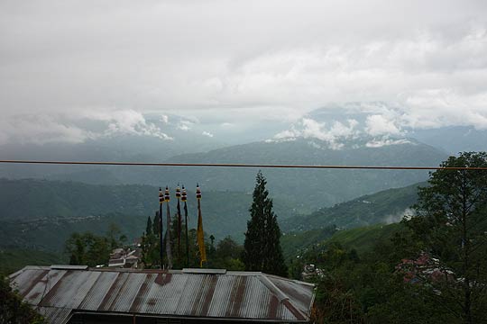 picture-04