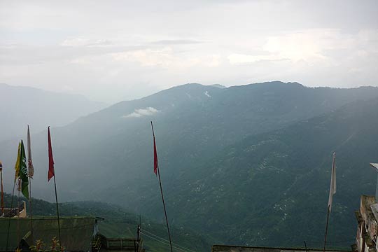 picture-08