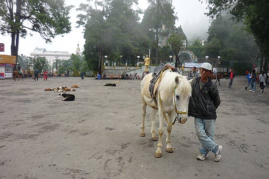 picture-14