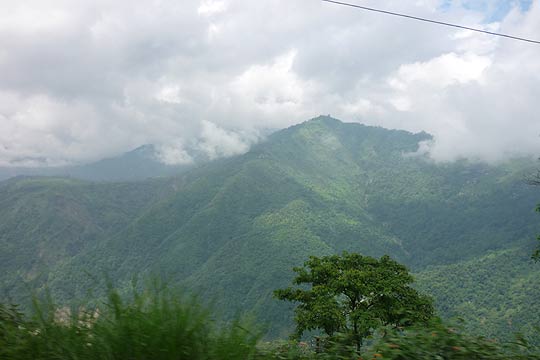 picture-30