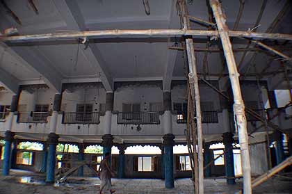 picture-14