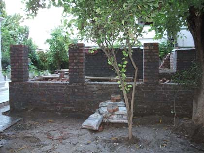 picture-07