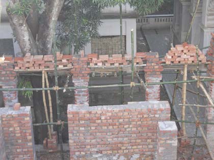 picture-11