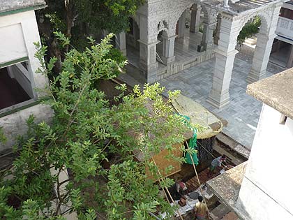 picture-06