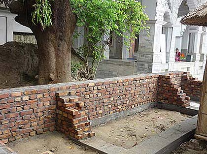 picture-16