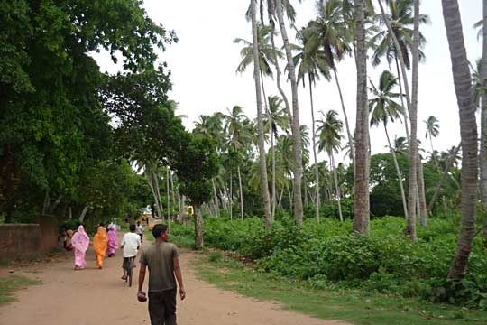 picture-04