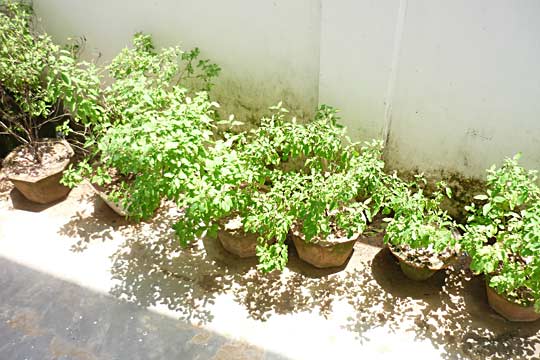 picture-05