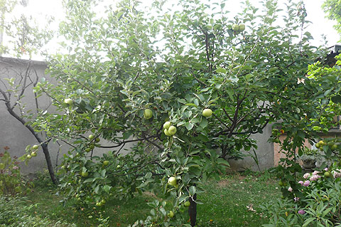 picture-27