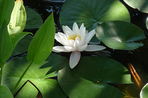 picture-30