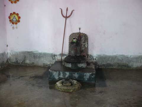 picture-11