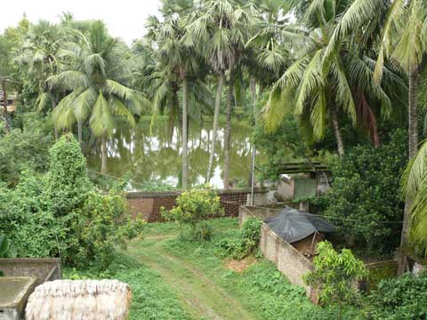 picture-30