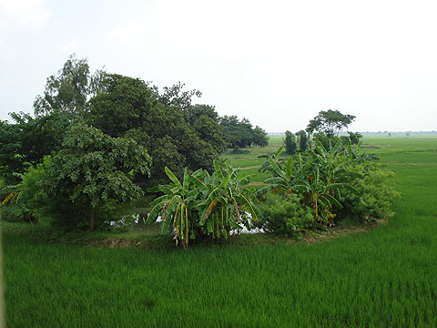 picture-30