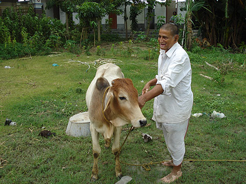 picture-31