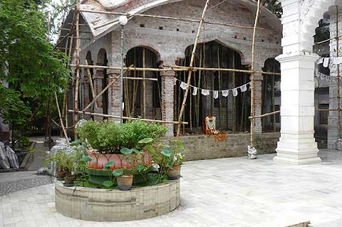 picture-10