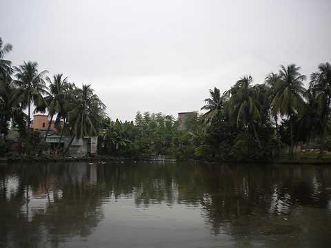 picture-01