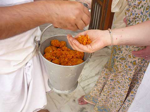 picture-28