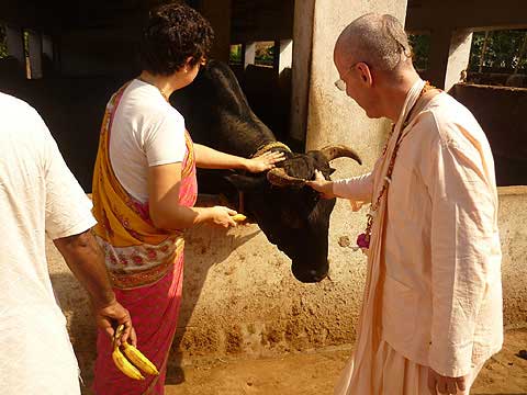 picture-14