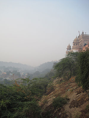 picture-17