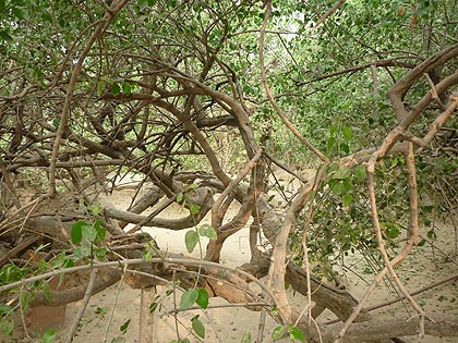 picture-15