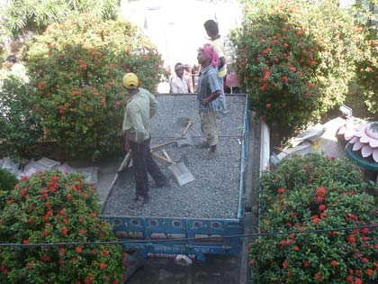 picture-05