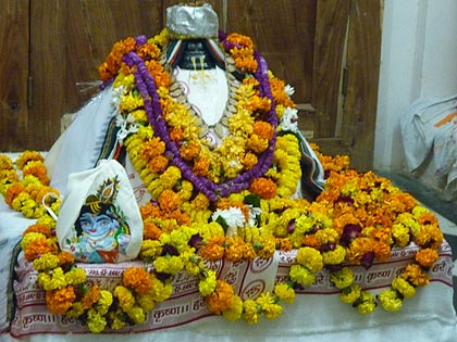picture-12