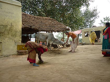 picture-31