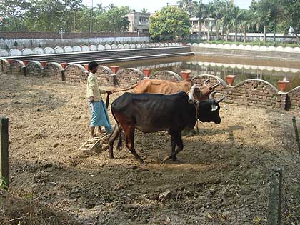 picture-06