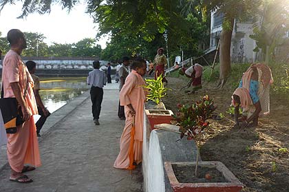 picture-03