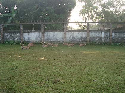 picture-16