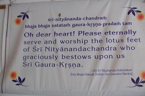 picture-07