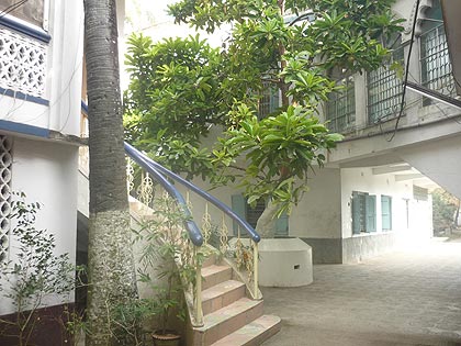 picture-03