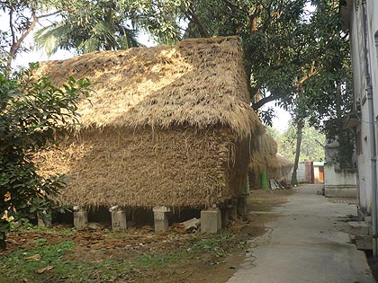 picture-05