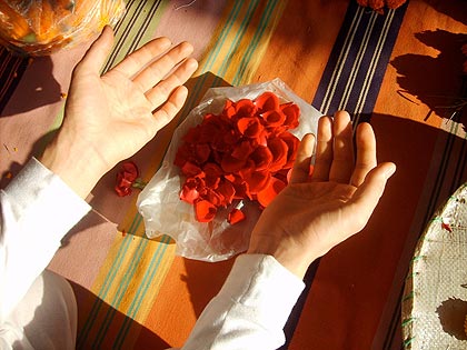 picture-12