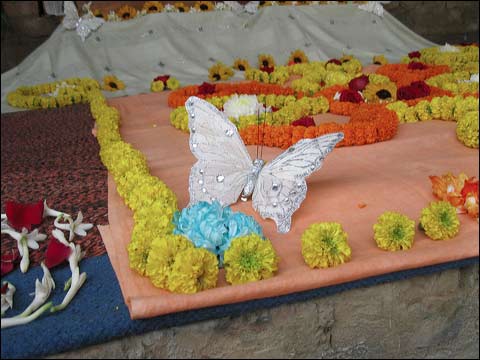 vpuja-15