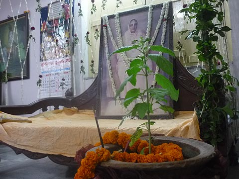 picture-04