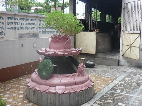picture-15